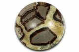 Eye-Eatching, Polished Septarian Dish - Madagascar #350229-1